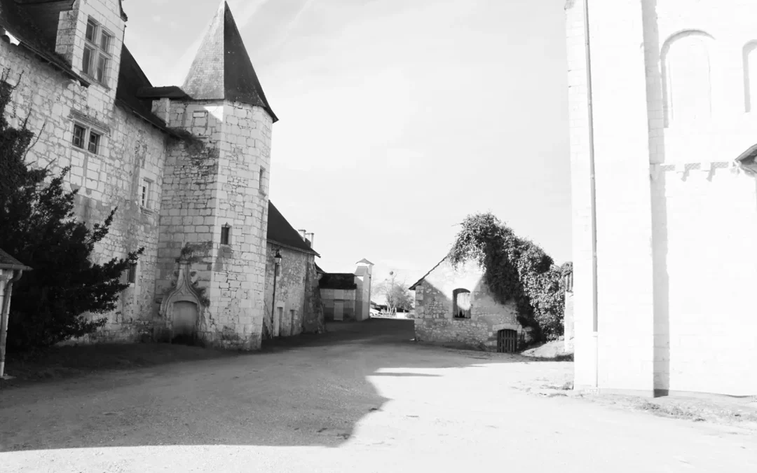 PRIEURE / VERNOIL-LE-FOURRIER (49)